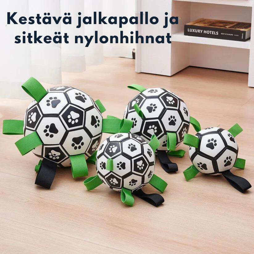 Koiran Jalkapallo