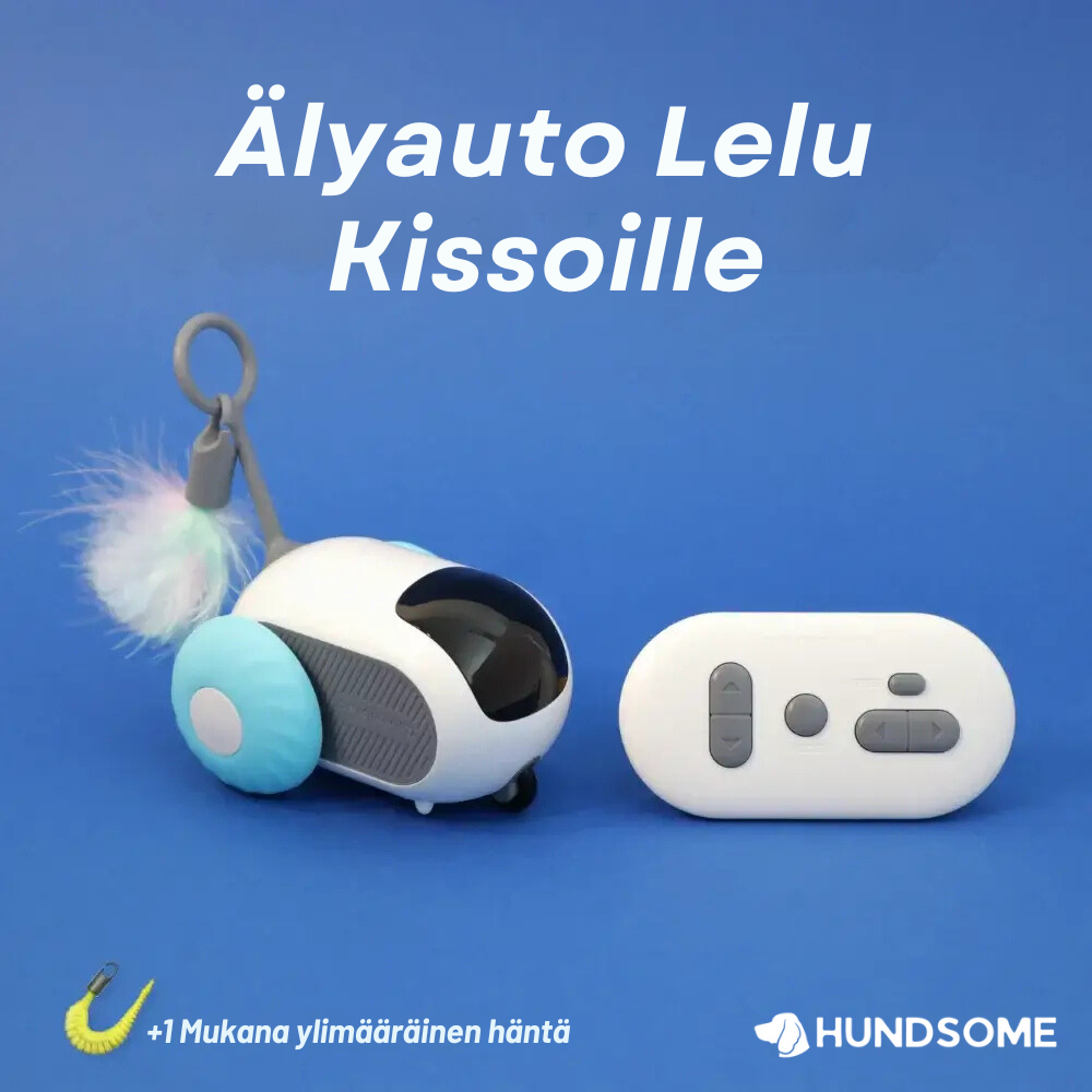 Älyauto Lelu Kissoille