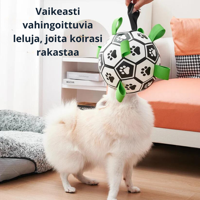 Koiran Jalkapallo